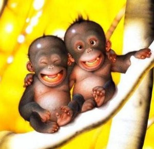 Baby Draac Apes ?..hehe